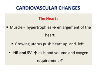 Anatomical and physiological change in pregnancy | PPT