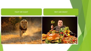 Anatomical and physiological consideration of ans [autosaved ...