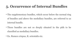 5. Occurrence of Internal Bundles
• The supplementary bundles, which occur below the normal ring
of bundles and above the medullary bundles, are referred to as
internal bundle.
• These bundles are not so deeply situated in the pith to be
classified as medullary bundles.
• Ex. Rumex crispus, R. orientalis etc.
 