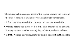 Anatomical anomalies in the primary structure of Dicot.pptx