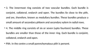 • 3. The innermost ring consists of two vascular bundles. Each bundle is
conjoint, collateral, endarch and open. The bundles lie close to the pith,
and are, therefore, known as medullary bundles. These bundles produce a
small amount of secondary phloem and secondary xylem in radial rows.
• 4. The middle ring consists of six or seven (upto fourteen) bundles. These
bundles are smaller than those of the inner ring. Each bundle is conjoint,
collateral, endarch and open.
• Pith. In the centre a small parenchymatous pith is persent.
 