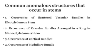 Common anomalous structures that
occur in stems
• 1. Occurrence of Scattered Vascular Bundles in
Dicotyledonous Stem
• 2. Occurrence of Vascular Bundles Arranged in a Ring in
Monocotyledonous Stem
• 3. Occurrence of Cortical Bundles
• 4. Occurrence of Medullary Bundle
 