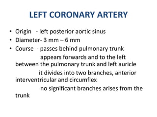 CIRCUMFLEX ARTERY
• Arises from left coronary artery
• Course- passes along left part of atrio ventricular groove
winds ro...
