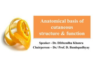 Anatomical basis of
cutaneous
structure & function
Speaker - Dr. Dibbendhu Khanra
Chairperson – Dr./ Prof. D. Bandopadhyay

 