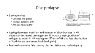 Disc prolapse
• 3 components
• Cartilage end-plates
• Nucleus pulposus (NP)
• Annulus fibrosus (AP)
• Ageing decreases nutrition and number of chondrocytes in NP
decrease- decreased proteoglycans & increase in proportion of
collagen to water in NP leading to stiffness of NP and less distribution
of load- facets bear more load (back pain)
• Eventually annulus fails causing disc herniation and radiculopathy
 