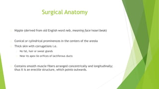 Surgical Anatomy
Nipple (derived from old English word neb, meaning face/nose/beak)
Conical or cylindrical prominences in the centers of the areola
Thick skin with corrugations i.e.
No fat, hair or sweat glands
Near its apex lie orifices of lactiferous ducts
Contains smooth muscle fibers arranged concentrically and longitudinally;
thus it is an erectile structure, which points outwards.
 