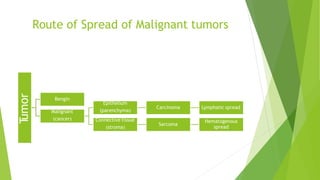Route of Spread of Malignant tumorsTumor
Bengin
Malignant
(cancer)
Epithelium
(parenchyma)
Carcinoma Lymphatic spread
Connective tissue
(stroma)
Sarcoma
Hematogenous
spread
 
