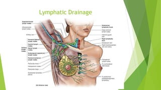 Lymphatic Drainage
 