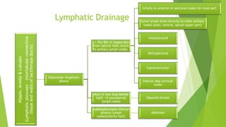 Lymphatic DrainageNipple,Areola&Lobules
(Lymphaticplexuses–interlobularconnective
tissueandwallsoflactiferousducts)
Subareolar lmyphatic
plexus
Intially to anterior or pectoral nodes for most part
Some lymph drain directly to other axillary
nodes (post, central, apical-upper part)
Interpectoral
> 75(~85) % (especially
from lateral half) drains
to axillary lymph nodes
Deltopectoral
Supraclavicular
Inferior dep cervical
nodes
Most of rest (esp Medial
half) - parasternal
lymph nodes
Opposite breast
Subdiapharmatic inferior
phrenic lymph
nodes(inferior half)
abdomen
 