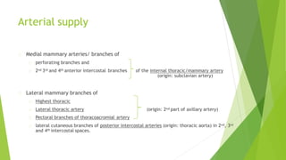 Arterial supply
Medial mammary arteries/ branches of
perforating branches and
2nd 3rd and 4th anterior intercostal branches of the internal thoracic/mammary artery
(origin: subclavian artery)
(origin: 2nd part of axillary artery)
Lateral mammary branches of
Highest thoracic
Lateral thoracic artery
Pectoral branches of thoracoacromial artery
lateral cutaneous branches of posterior intercostal arteries (origin: thoracic aorta) in 2nd, 3rd
and 4th intercostal spaces.
 