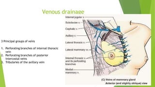 Venous drainage
3 Principal groups of veins
1. Perforating branches of internal thoracic
vein
2. Perforating branches of posterior
intercostal veins
3. Tributaries of the axillary vein
 