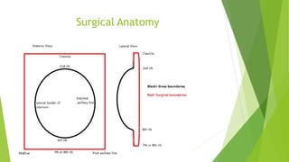 Surgical Anatomy
 