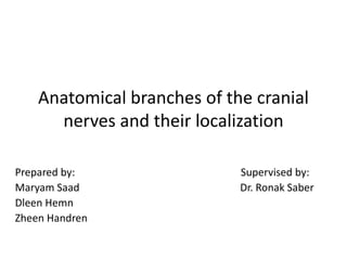 Anatomical branches of the cranial
nerves and their localization
Prepared by: Supervised by:
Maryam Saad Dr. Ronak Saber
Dleen Hemn
Zheen Handren
 