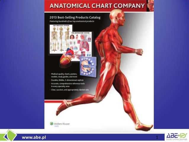 Anatomical Charts And Models