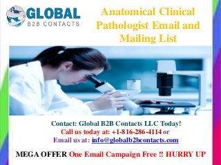 Contact: Global B2B Contacts LLC Today!
Call us today at: +1-816-286-4114 or
Email us at: info@globalb2bcontacts.com
Anatomical Clinical
Pathologist Email and
Mailing List
MEGA OFFER One Email Campaign Free !! HURRY UP
 