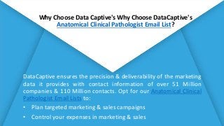 Why Choose DataCaptive's Why Choose DataCaptive's
Anatomical Clinical Pathologist Email List?
• A devoted team of solution...