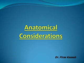 Anatomical consideration