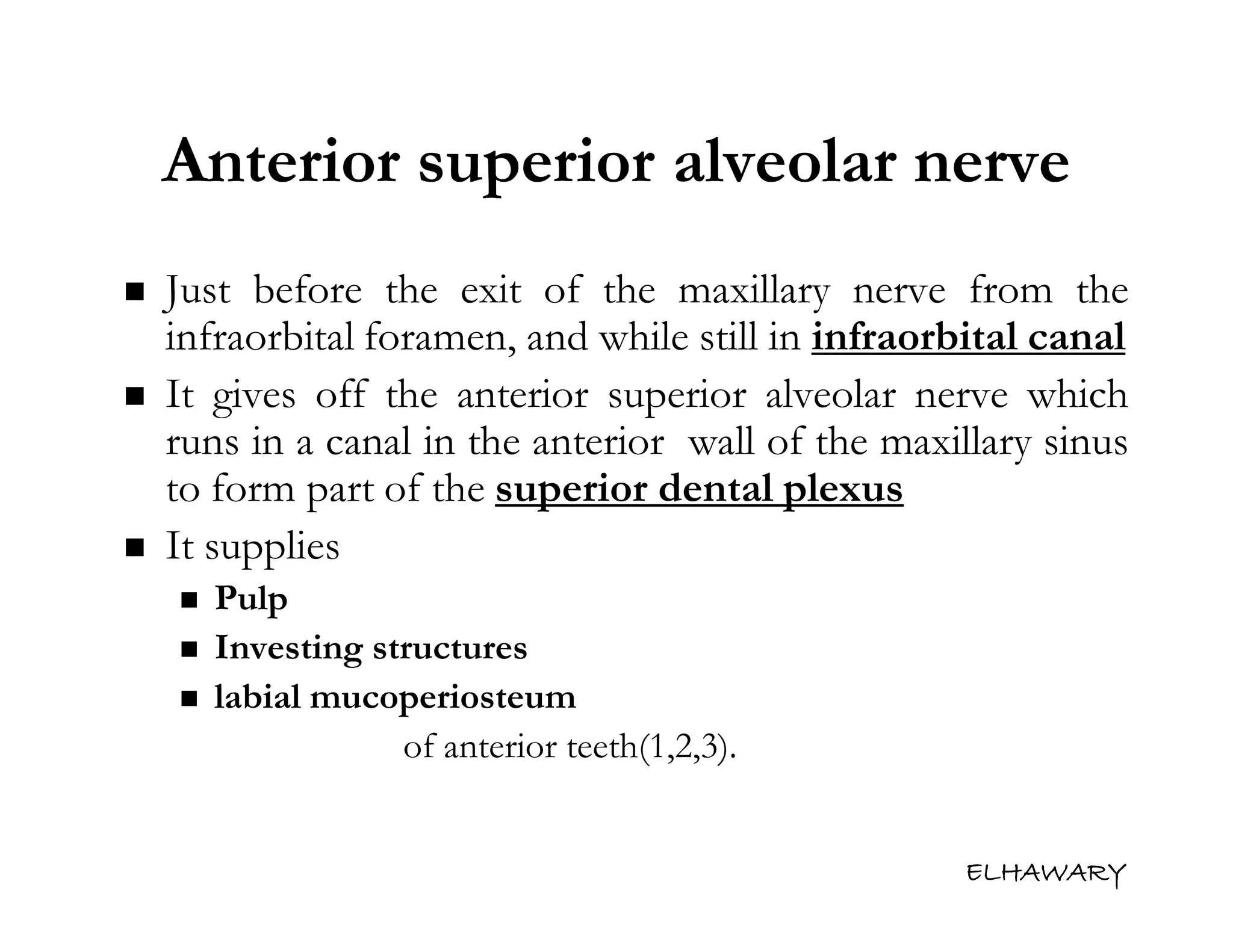 Anatomical consideration for local anesthesia sensory innervation of
