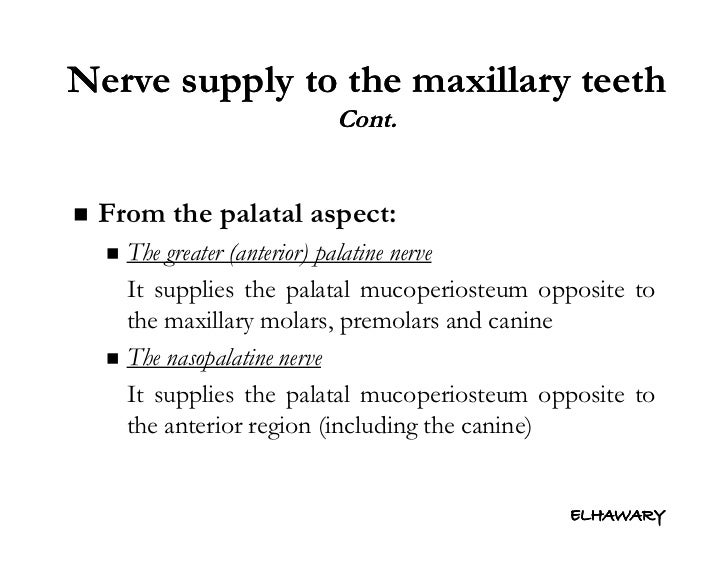 Anatomical consideration for local anesthesia sensory innervation o…