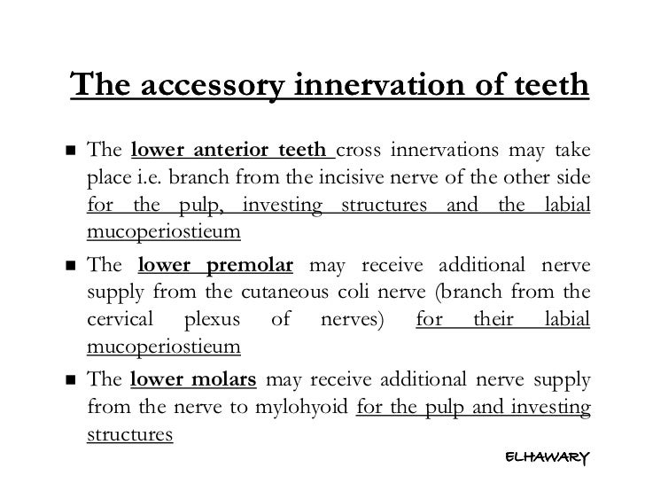 Anatomical consideration for local anesthesia sensory innervation o…