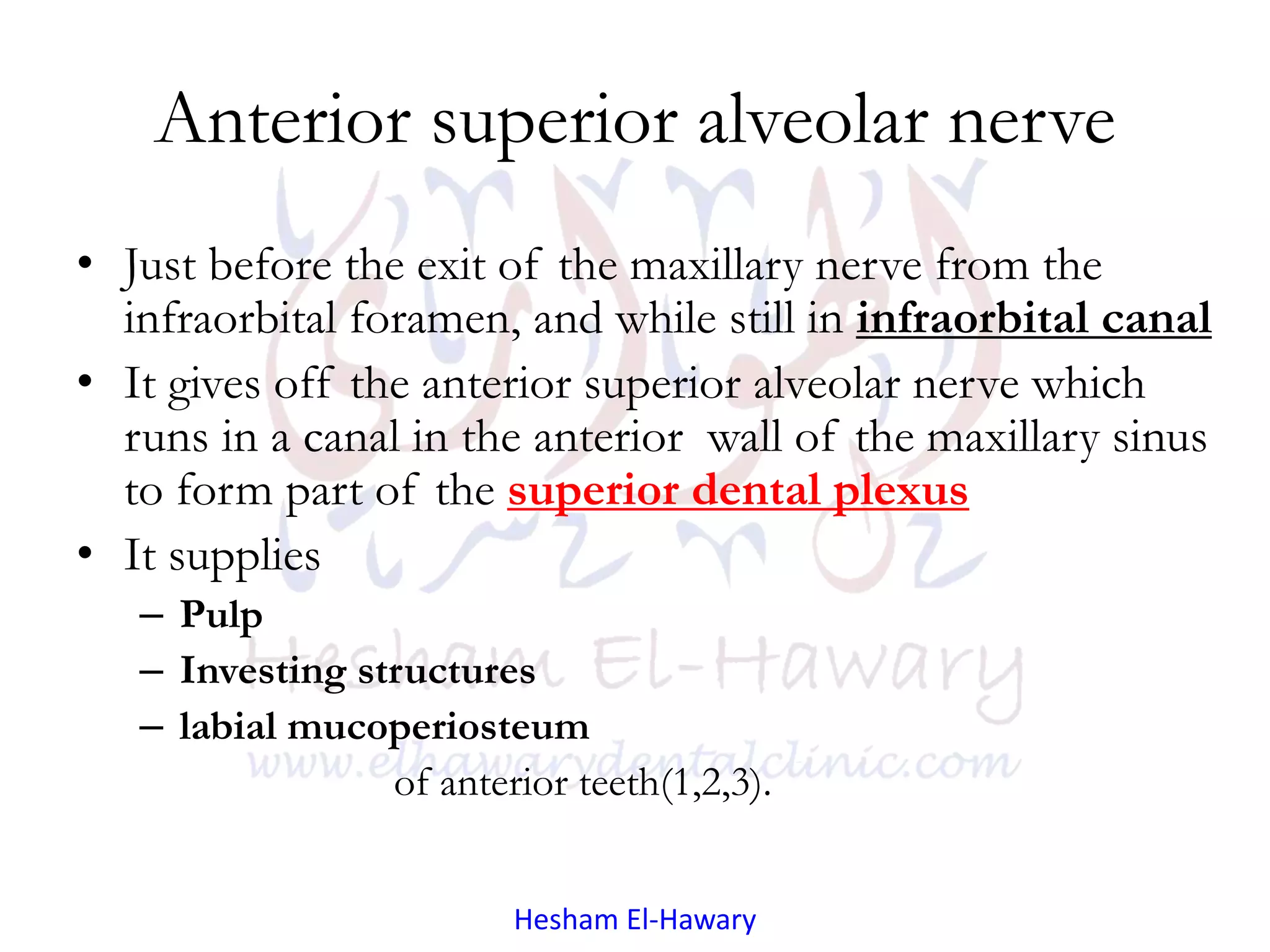 Anatomical consideration for local anesthesia [innervation] PPT