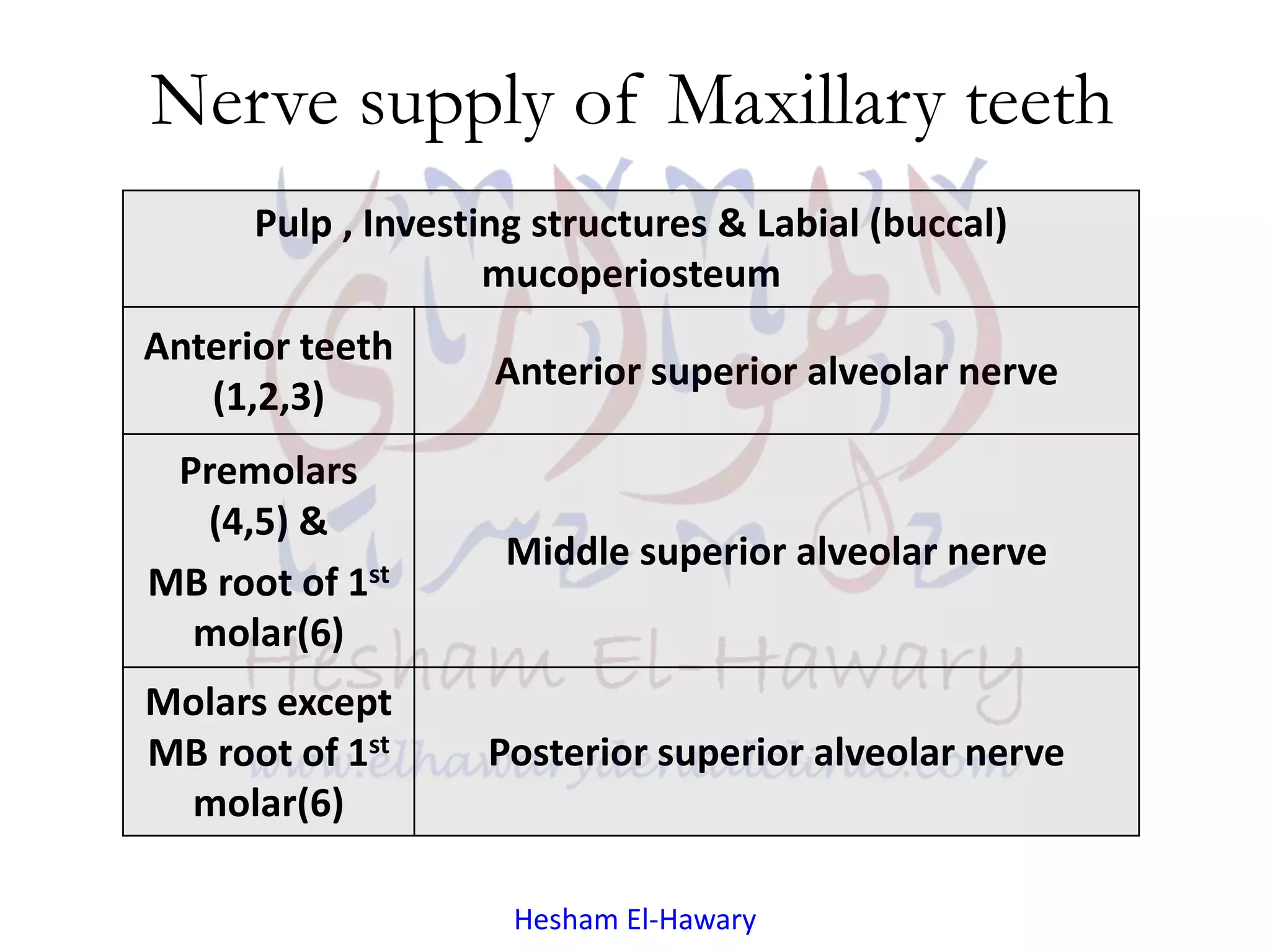 Anatomical consideration for local anesthesia [innervation] PPT