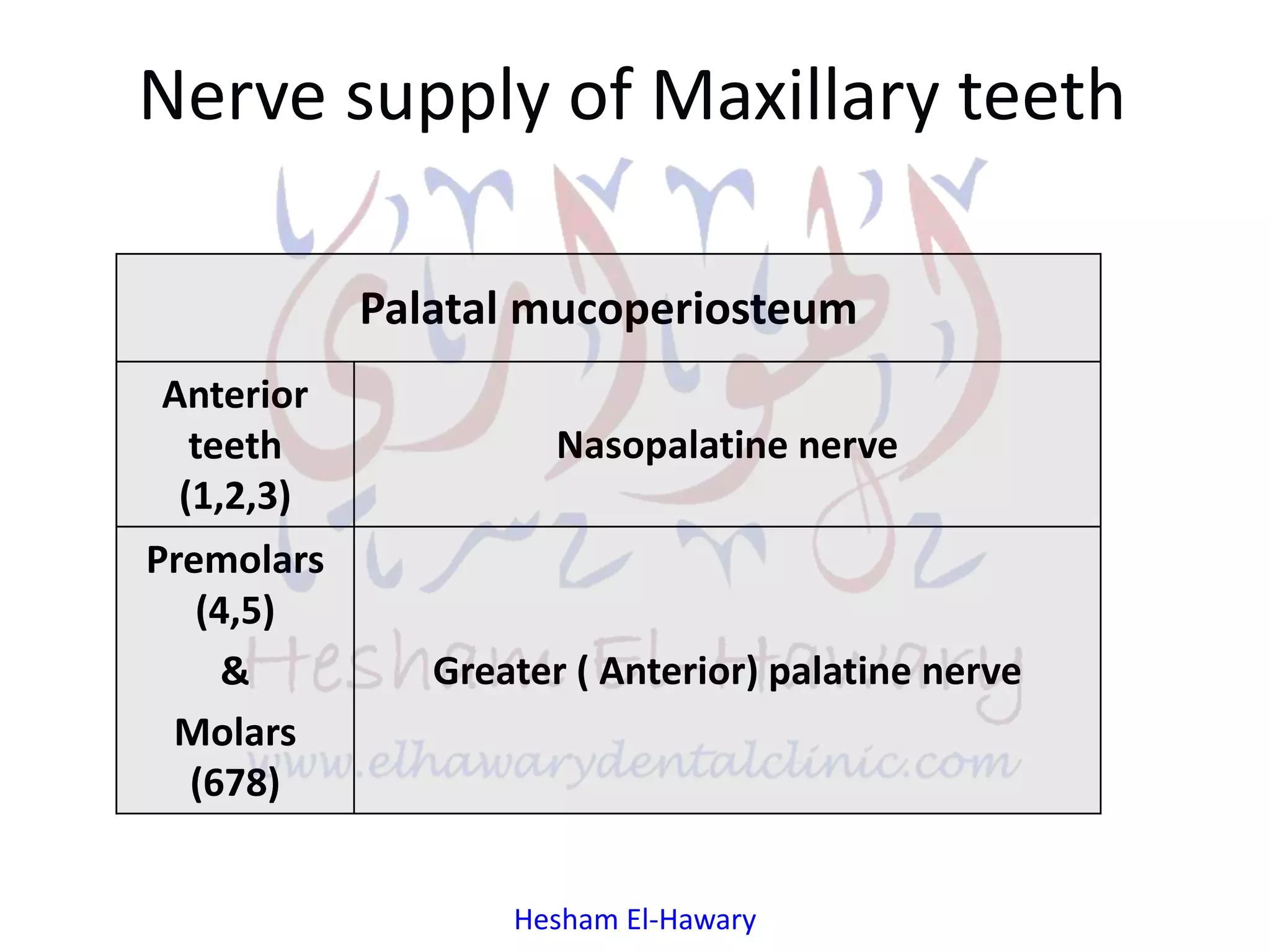 Anatomical consideration for local anesthesia [innervation] PPT