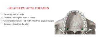 ANATOMICAL CONSIDERATIONS IN MAXILLA FOR ORAL IMPLANTS.pptx
