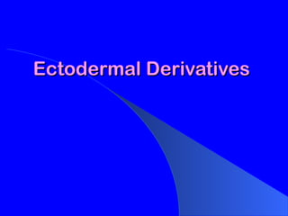ANATOMICAL DESCRIPTION OF DERIVATIVES OF GERM LAYERS.ppt