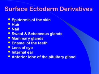ANATOMICAL DESCRIPTION OF DERIVATIVES OF GERM LAYERS.ppt