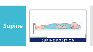 AnatomicalDirectionalTermsBodyPlanesCavitiesPositionsPowerPoint-1 | PPTX
