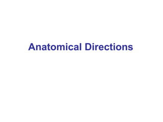 Anatomical Directions
 