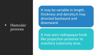 Anatomical landmark in oral radiology | PPTX