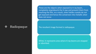 Are Rocks Radiopaque Anatomical landmark in oral radiology | PPTX