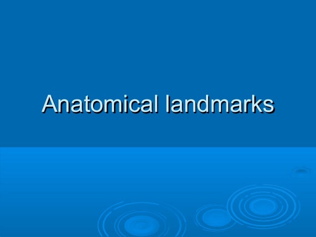 anatomical landmarks
