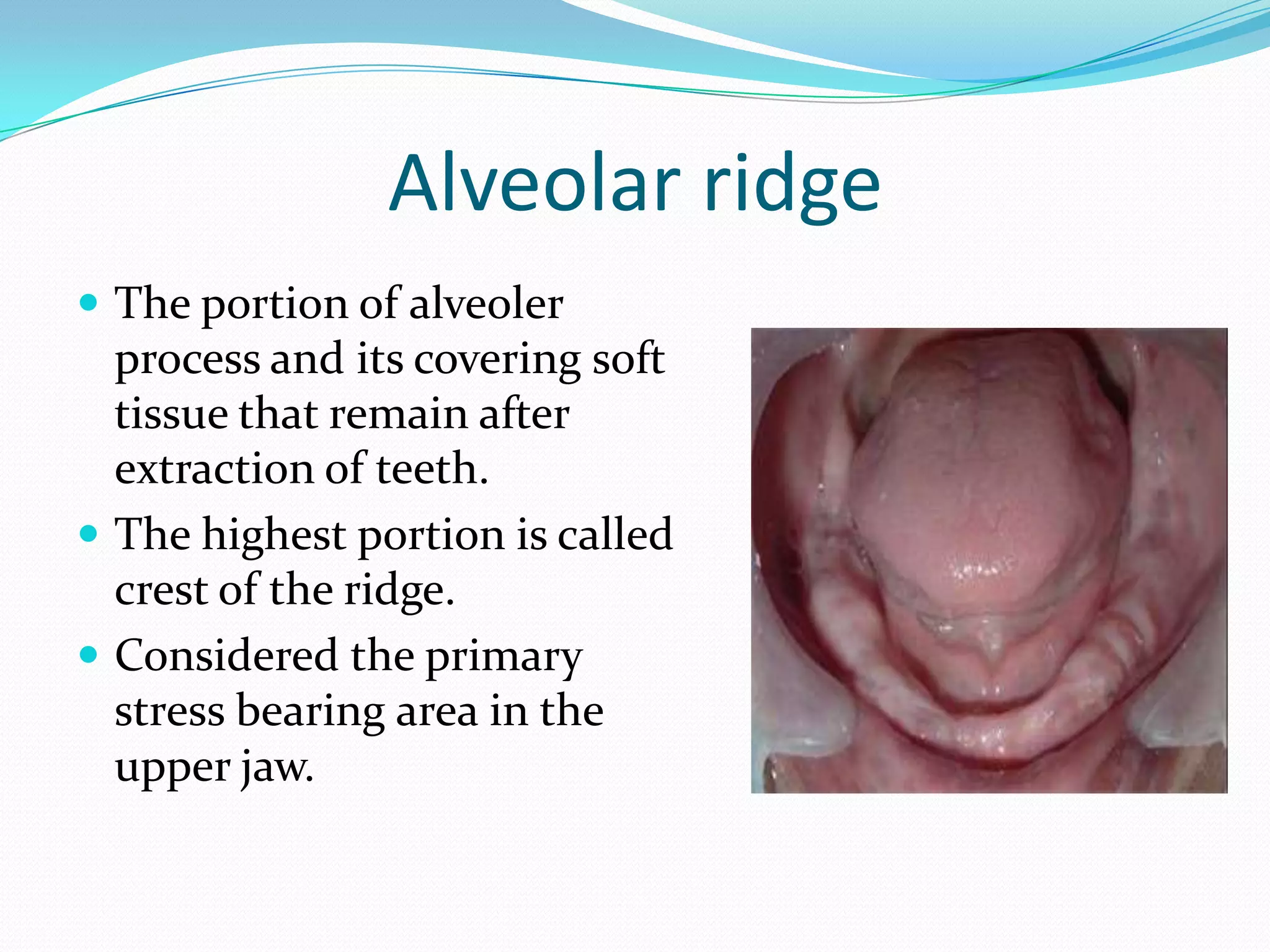Anatomical Landmarks for Complete Dentures | PPTX