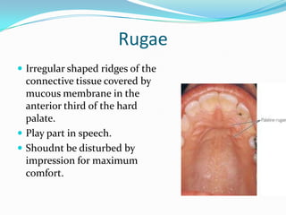 Anatomical Landmarks for Complete Dentures | PPTX