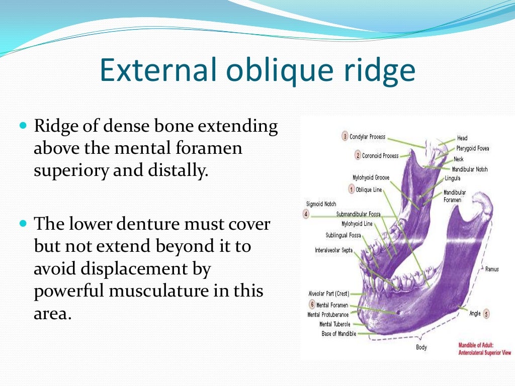 Anatomical Landmarks for Complete Dentures