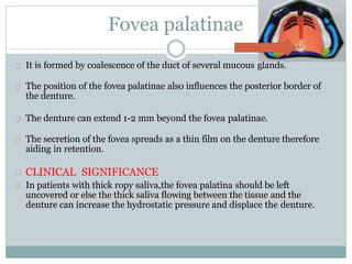 Fovea palatinae
It is formed by coalescence of the duct of several mucous glands.
The position of the fovea palatinae also influences the posterior border of
the denture.
The denture can extend 1-2 mm beyond the fovea palatinae.
The secretion of the fovea spreads as a thin film on the denture therefore
aiding in retention.
CLINICAL SIGNIFICANCE
In patients with thick ropy saliva,the fovea palatina should be left
uncovered or else the thick saliva flowing between the tissue and the
denture can increase the hydrostatic pressure and displace the denture.
 