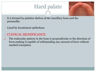Hard palate
It is formed by palatine shelves of the maxillary bone and the
premaxilla.
Lined by keratinised epithelium.
CLINICAL SIGNIFICANCE
a) The trabecular pattern in the bone is perpendicular to the direction of
force,making it capable of withstanding any amount of force without
marked resorption.
 