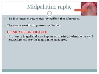Midpalatine raphe
This is the median suture area covered by a thin submucosa.
This area is sensitive to pressure application
CLINICAL SIGNIFICANCE
a) If pressure is applied during impression making,the denture base will
cause soreness over the midpalatine raphe area.
 