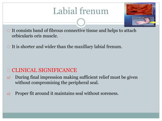 Labial frenum
It consists band of fibrous connective tissue and helps to attach
orbicularis oris muscle.
It is shorter and wider than the maxillary labial frenum.
CLINICAL SIGNIFICANCE
a) During final impression making sufficient relief must be given
without compromising the peripheral seal.
a) Proper fit around it maintains seal without soreness.
 