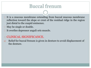 Buccal frenum
It is a mucous membrane extending from buccal mucous membrane
reflection toward the slope or crest of the residual ridge in the region
just distal to the cuspid eminence.
May be single or double.
It overlies depressor anguli oris muscle.
CLINICAL SIGNIFICANCE.
a) Relief for buccal frenum is given in denture to avoid displacement of
the denture.
 