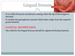 Lingual frenum
It is a fold of mucous membrane existing when the tip of the tongue is
elevated.
It overlies the genioglossus muscle which takes origin from the superior
genial tubercle.
CLINICAL SIGNIFICANCE
The relief for the lingual frenum should be registered during function.
 