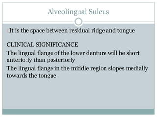 Alveolingual Sulcus
It is the space between residual ridge and tongue
CLINICAL SIGNIFICANCE
The lingual flange of the lower denture will be short
anteriorly than posteriorly
The lingual flange in the middle region slopes medially
towards the tongue
 