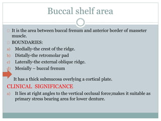Buccal shelf area
It is the area between buccal frenum and anterior border of masseter
muscle.
BOUNDARIES:
a) Medially-the crest of the ridge.
b) Distally-the retromolar pad
c) Laterally-the external oblique ridge.
d) Mesially – buccal frenum
It has a thick submucosa overlying a cortical plate.
CLINICAL SIGNIFICANCE
a) It lies at right angles to the vertical occlusal force;makes it suitable as
primary stress bearing area for lower denture.
 