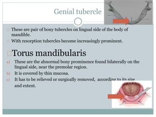 Genial tubercle
These are pair of bony tubercles on lingual side of the body of
mandible.
With resorption tubercles become increasingly prominent.
Torus mandibularis
a) These are the abnormal bony prominence found bilaterally on the
lingual side, near the premolar region.
b) It is covered by thin mucosa.
c) It has to be relieved or surgically removed, according to its size
and extent.
 