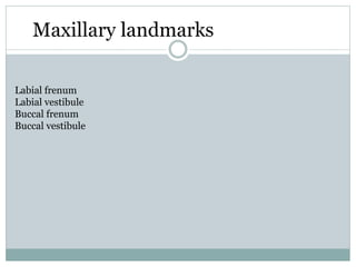 Maxillary landmarks
Labial frenum
Labial vestibule
Buccal frenum
Buccal vestibule
 