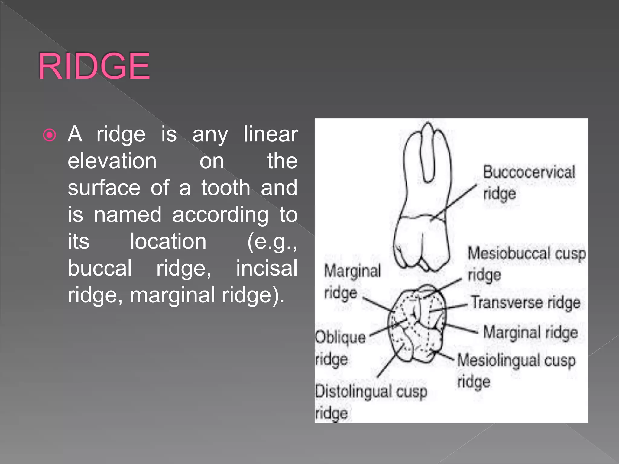 ANATOMICAL LANDMARKS.pptx