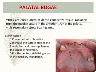 ANATOMICAL LANDMARKS OF ANATOMICAL STRUCTURES.ppt